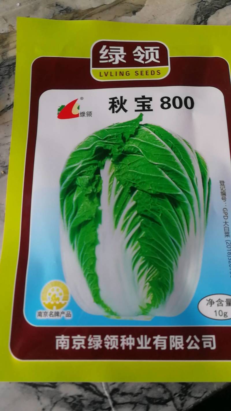 秋宝800大白菜播种后80至85天收获，详细介绍请看图上