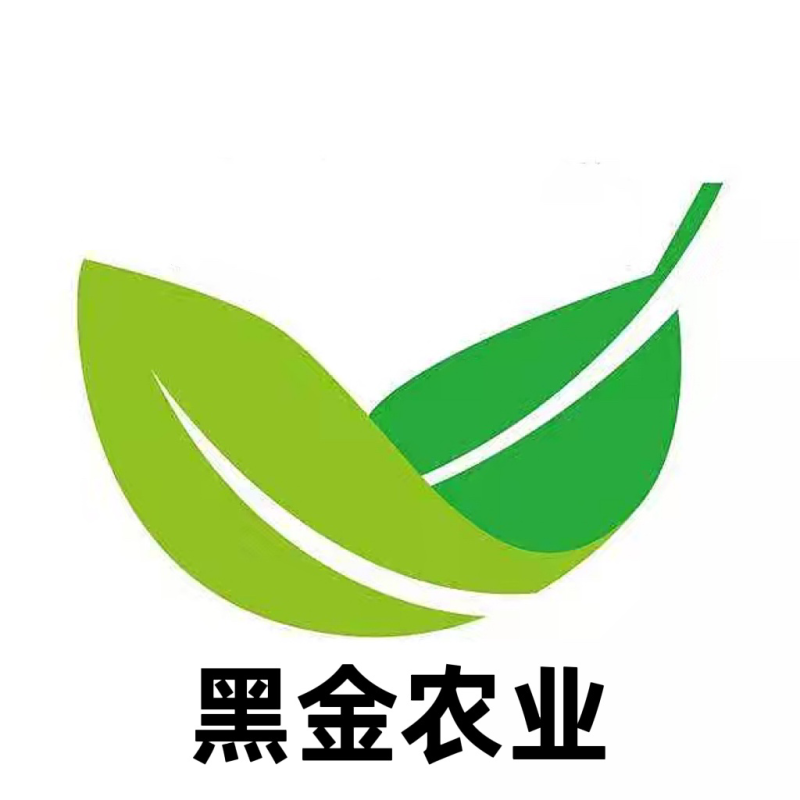 矿源黄腐酸钾日常发货