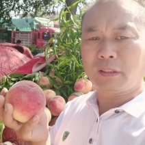 大个晚红甜桃半斤起步果面干净口感脆甜爽口需要的