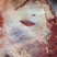 牛肉
