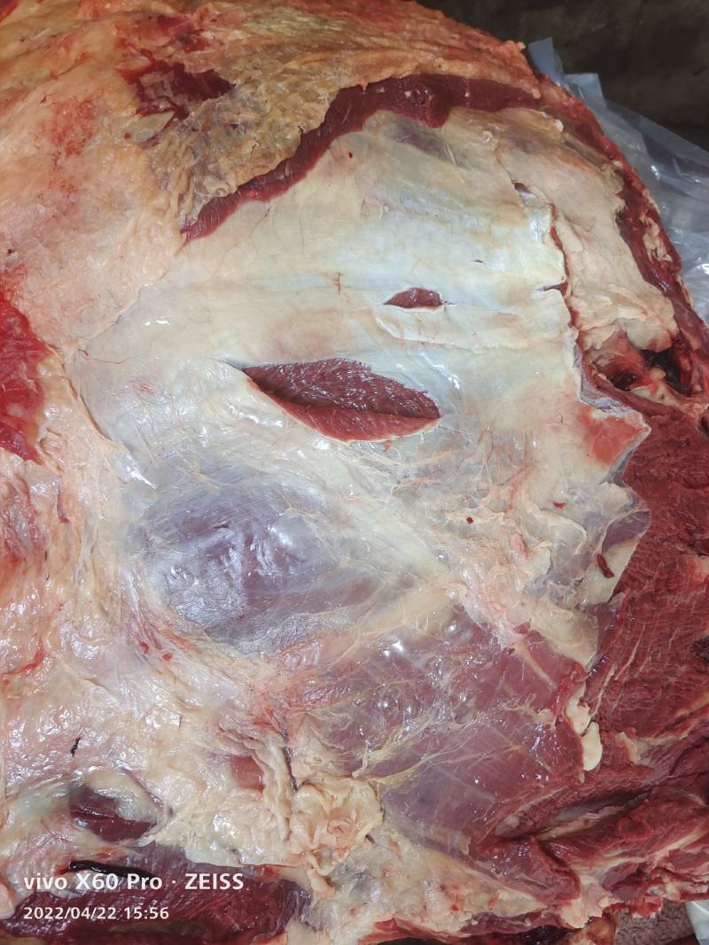 牛肉