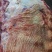 牛肉