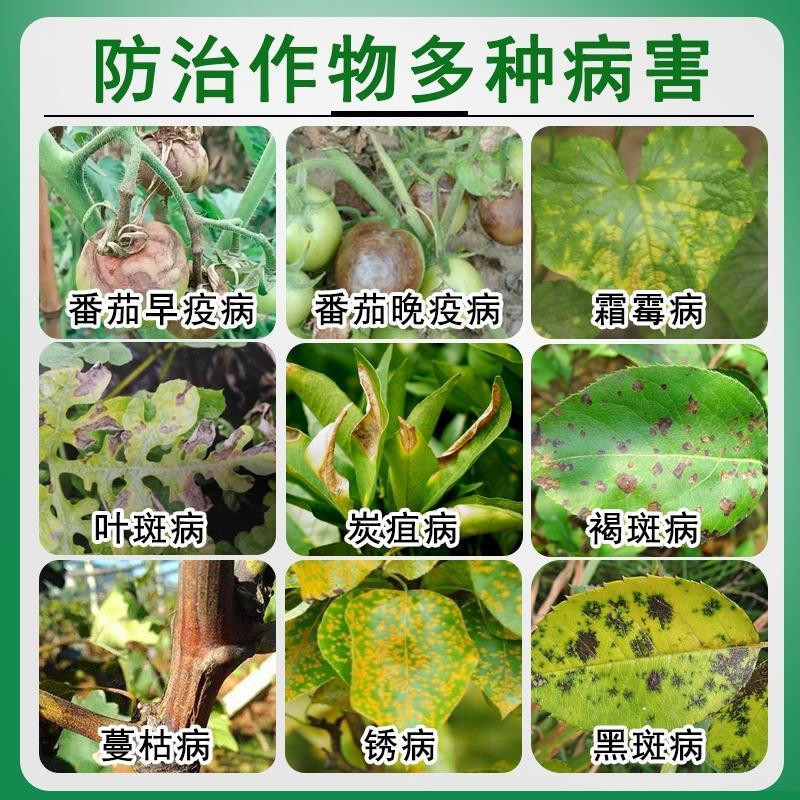 海纳代森锌蓝粉80%补锌纯蓝色炭疽病叶斑病早疫病杀菌剂