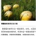 新鲜祁连野生黄蘑菇，来自大自然高原无污染环境的馈赠