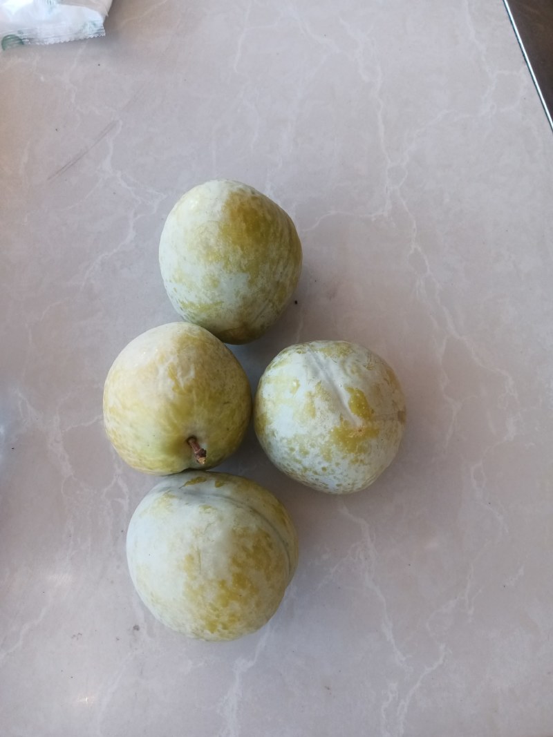 奈李，黄金奈李