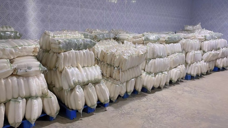 【精品】湖北白萝卜白萝卜一手货源保质保量
