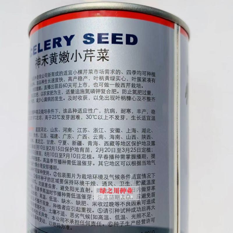 四季速生黄嫩小芹清香小芹菜种籽抽苔晚叶柄黄绿实心特高产