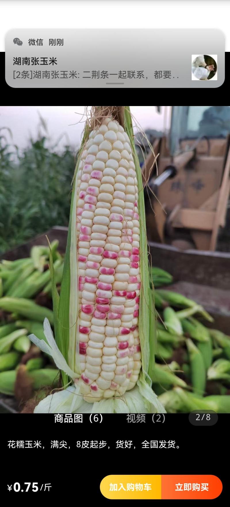 鲜辣椒