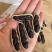 黑花生米，云南黑花生米，带壳黑花生，老品种黑花生，新品种