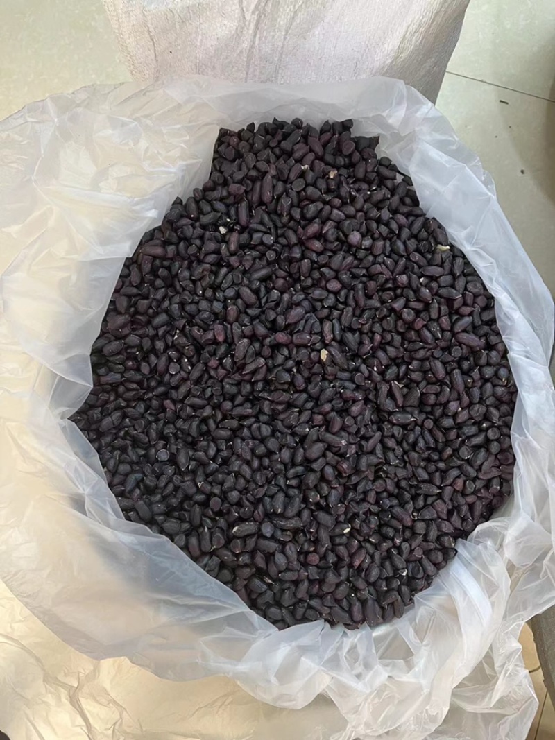 黑花生米，云南黑花生米，带壳黑花生，老品种黑花生，新品种