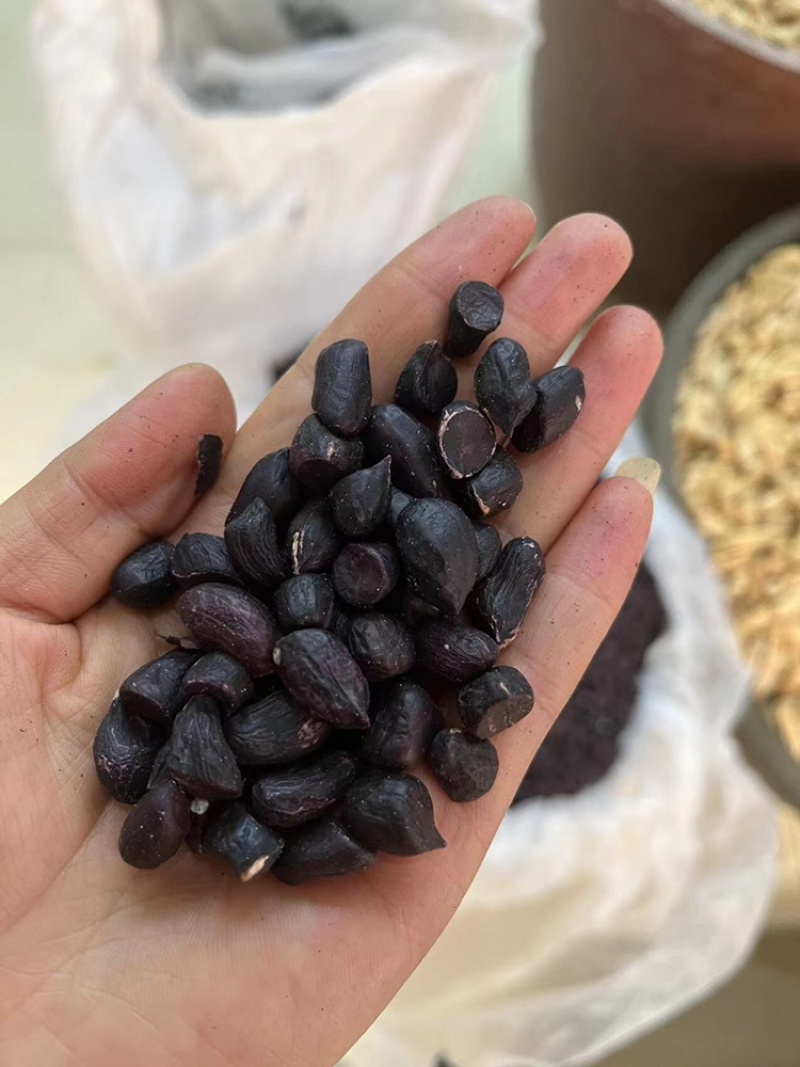 黑花生米，云南黑花生米，带壳黑花生，老品种黑花生，新品种