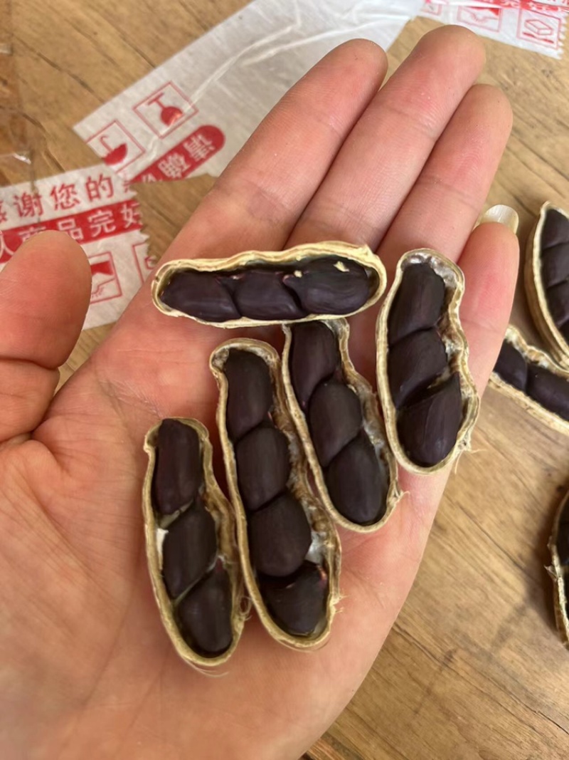 黑花生米，云南黑花生米，带壳黑花生，老品种黑花生，新品种