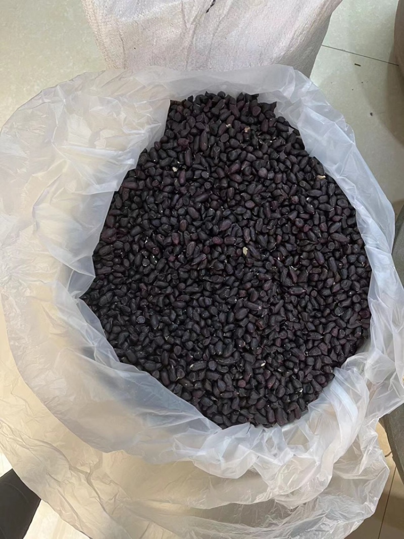 黑花生米，云南黑花生米，带壳黑花生，老品种黑花生，新品种