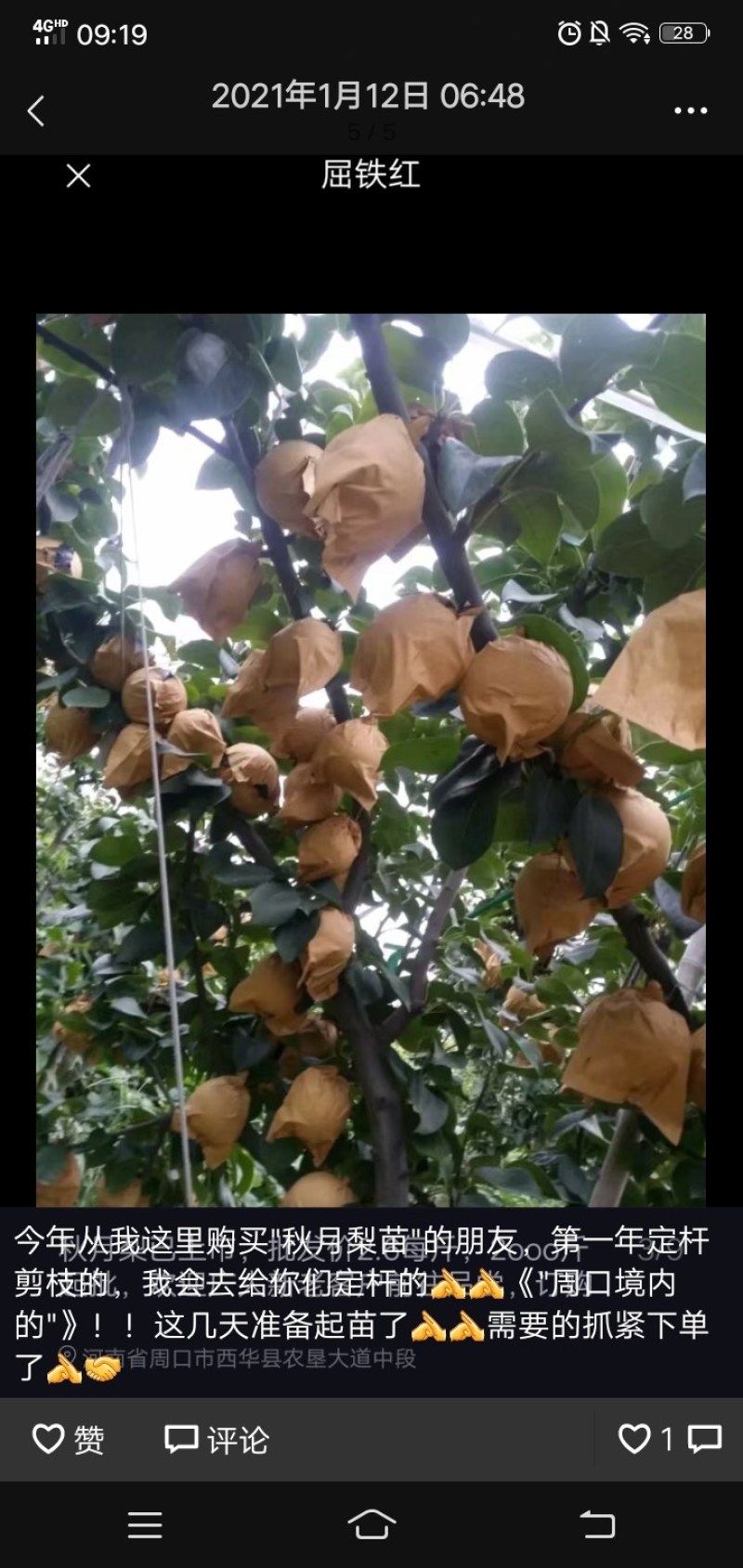 主营：黄金梨、丰水梨，圆黄梨，秋月梨。诚信经营，质量保证