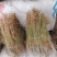 四叶莲干货，今年刚晒四叶莲