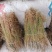四叶莲干货，今年刚晒四叶莲
