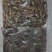 湖南水库河虾