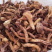 榛蘑，松蘑，肉蘑