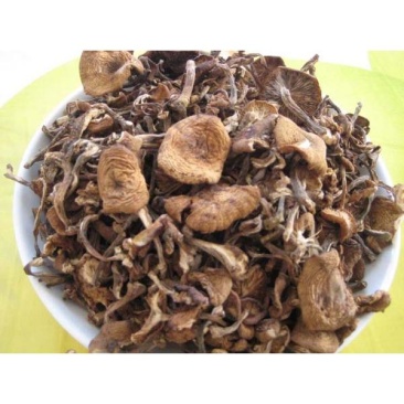 榛蘑，松蘑，肉蘑