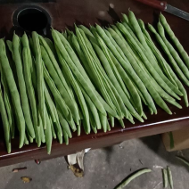 大量现货供应充足