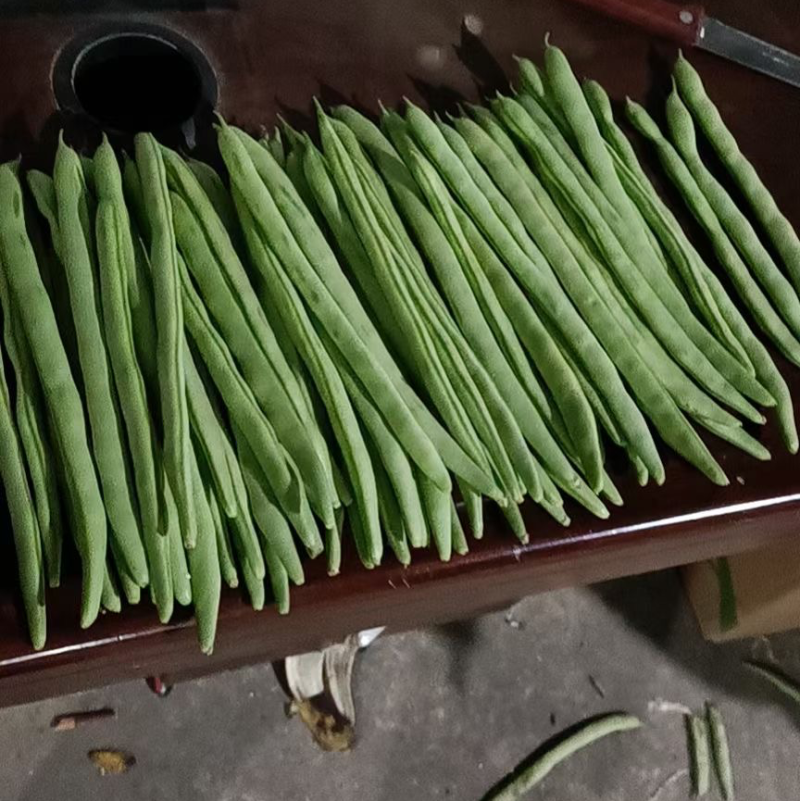 大量现货供应充足