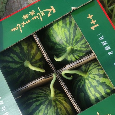 西瓜