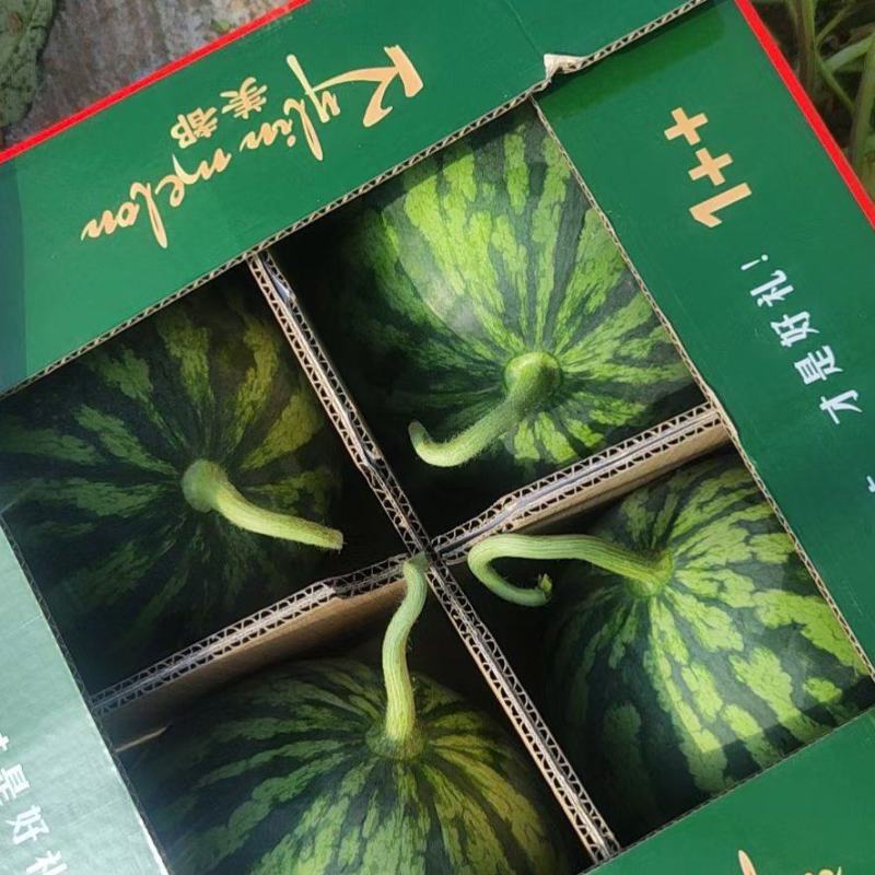 西瓜