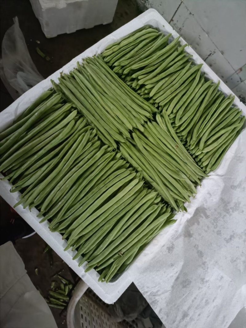 大量现货供应充足