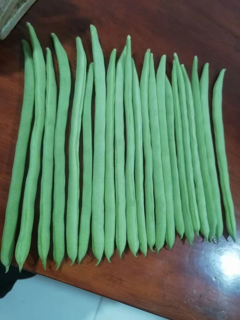大量现货供应充足