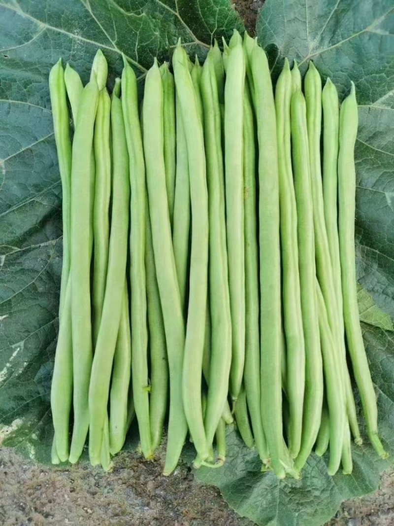 大量现货供应充足