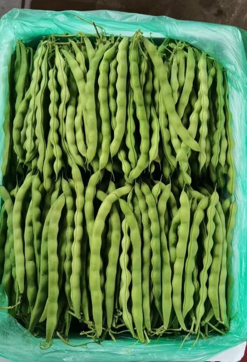 大量现货供应充足