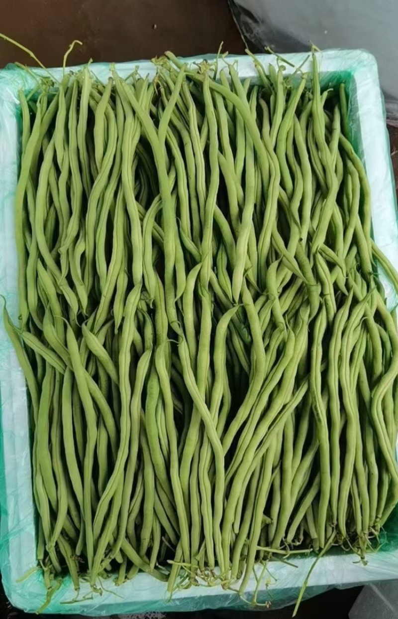 大量现货供应充足