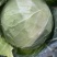 大量现货供应充足