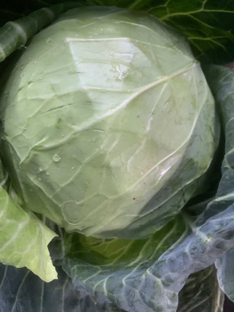 大量现货供应充足