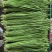 大量现货供应充足