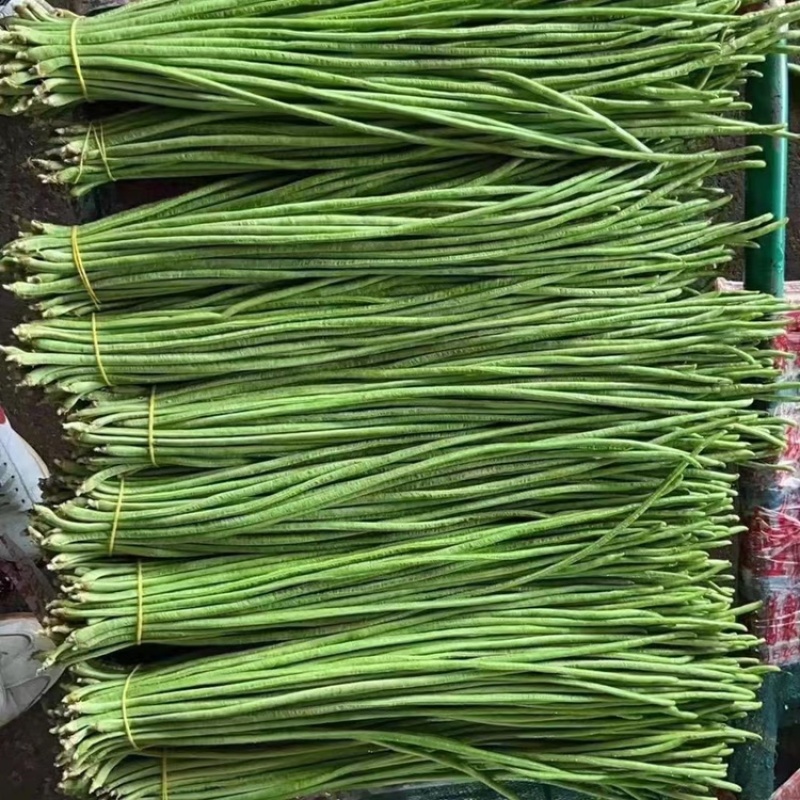 大量现货供应充足