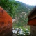 汶川高山百花蜂蜜