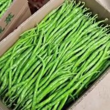 辣椒