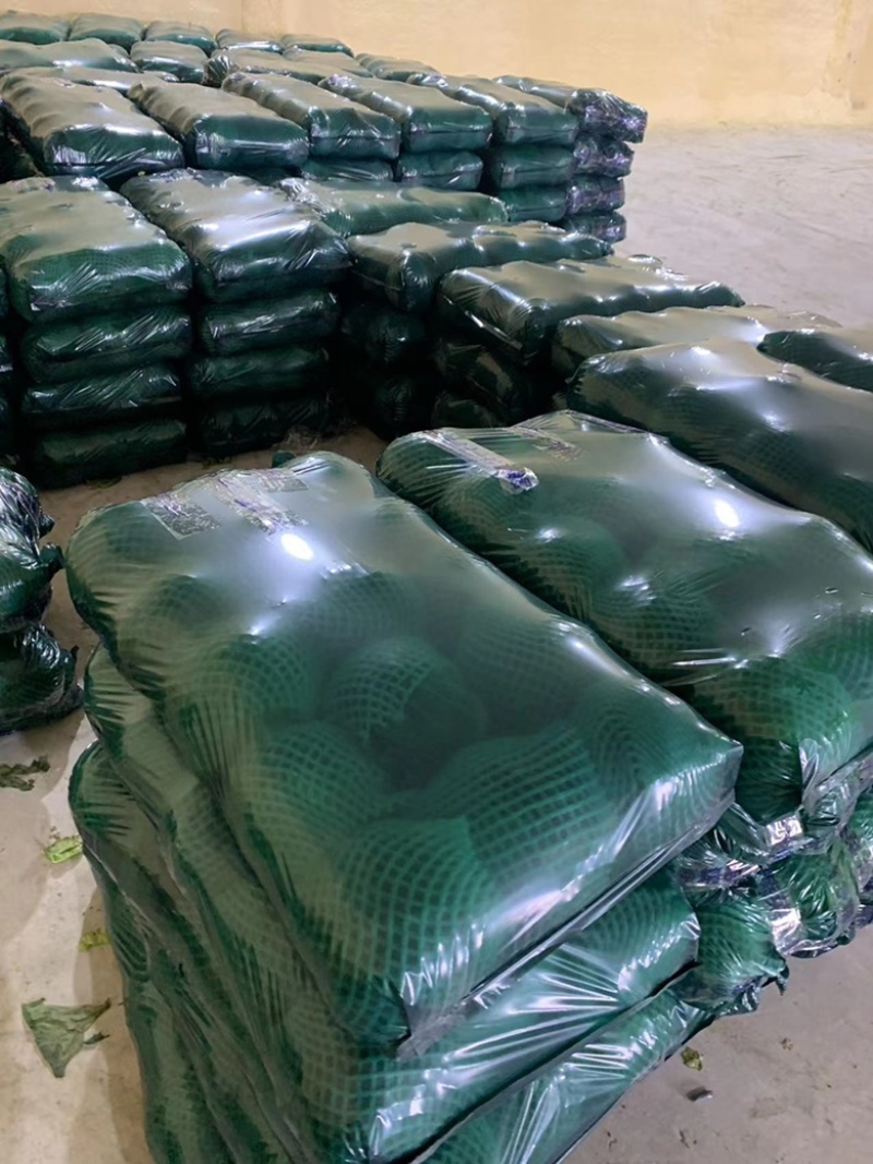 精品甘蓝大量上市，现釆现卖、一手货源，诚信经营，欢迎咨询