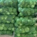 精品甘蓝大量上市，现釆现卖、一手货源，诚信经营，欢迎咨询