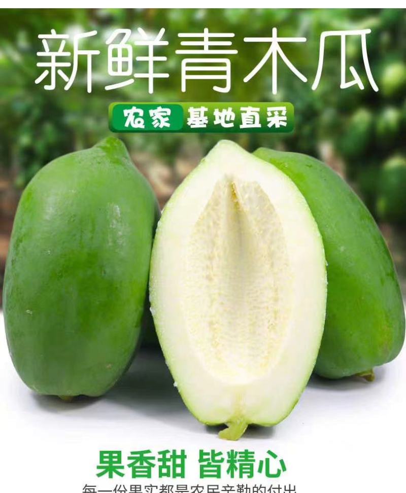 木瓜