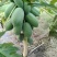 木瓜