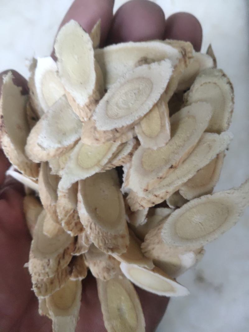 甘肃（包邮)岷县精选黄芪指甲片产地直供规格齐全批发