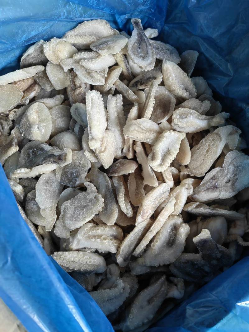 迷你小章鱼