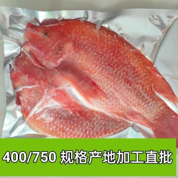 【开背红鱼】条冻真空包装、北海红鱼长期开背加工出厂直批