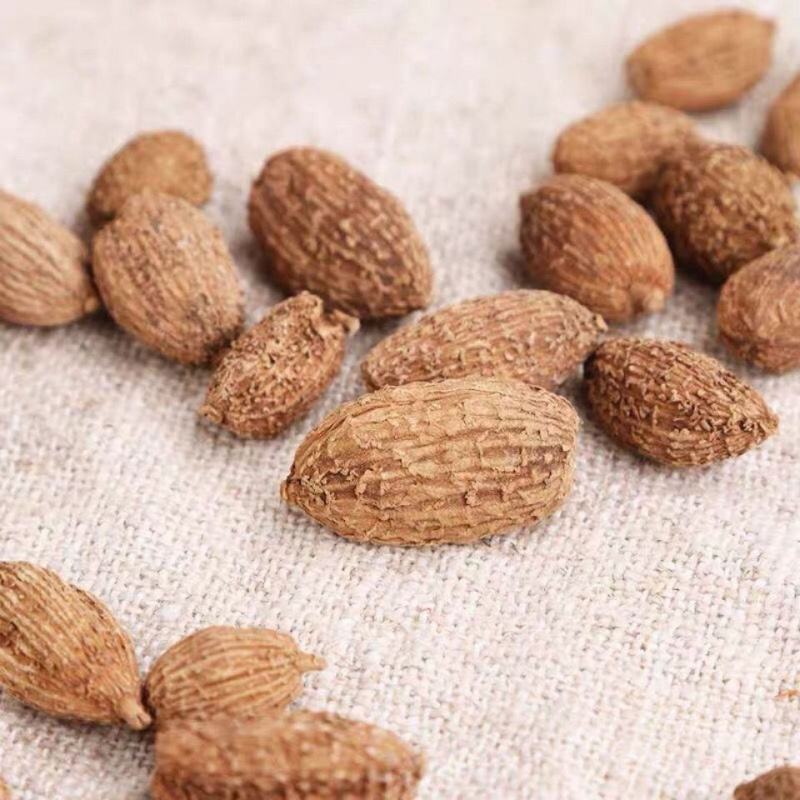 阳春特产春砂仁干果生晒原生态有梗规格齐全产地发货常年供应