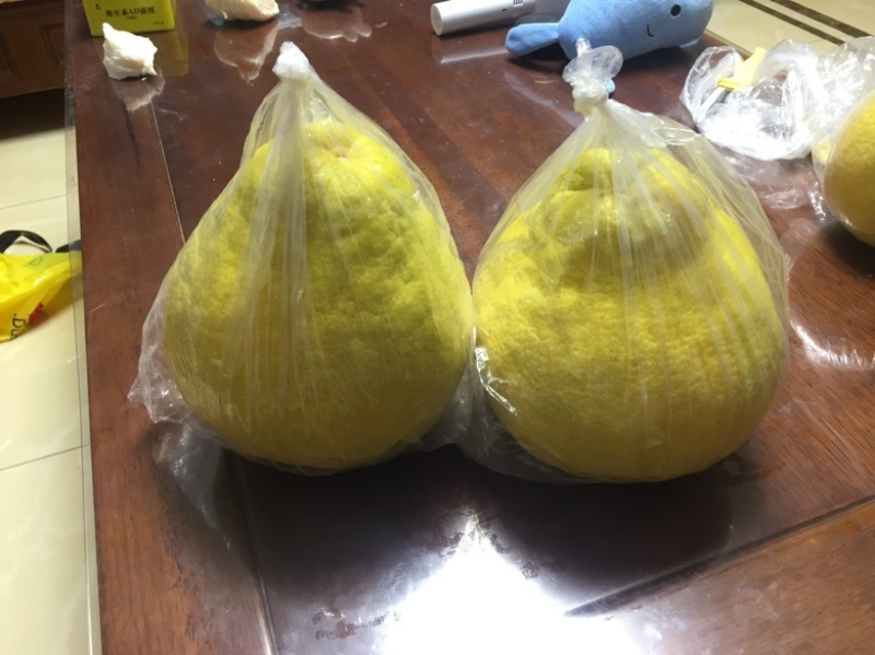 沙田柚沙糖橘夏橙马水橘