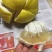沙田柚沙糖橘夏橙马水橘