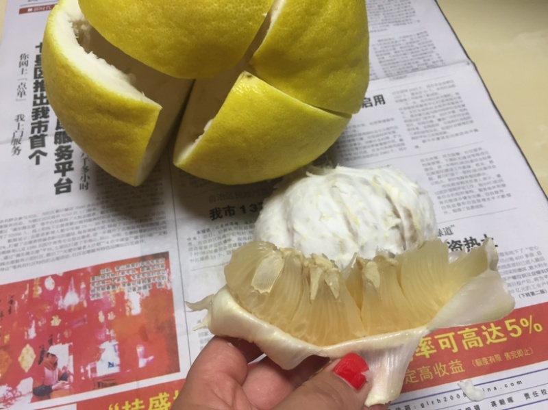 沙田柚沙糖橘夏橙马水橘