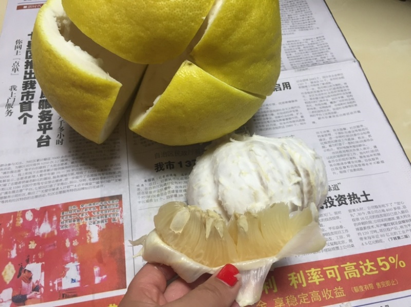 沙田柚沙糖橘夏橙马水橘